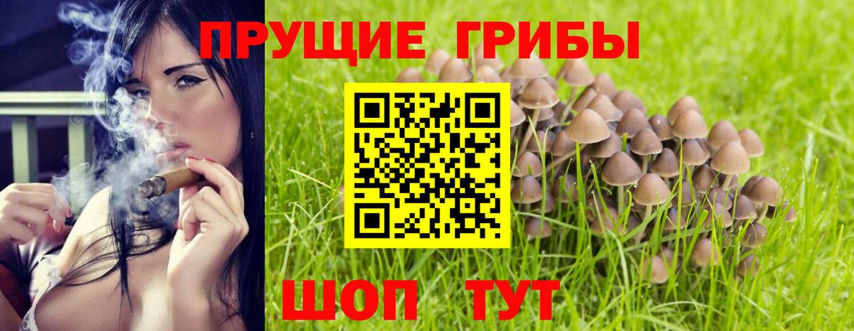 Псилоцибиновые грибы прущие грибы  Галлюциногенные грибы GOLDEN TEACHER  Вход с VPN  Сорочинск 